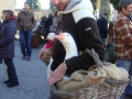 DSC03679.JPG