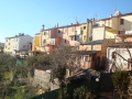 DSC03775.JPG