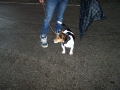 100_5783.JPG