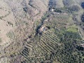 Setriano, Rialta e Belvedere