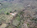 Setriano
